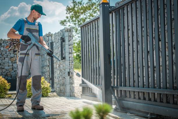 Best Dumpster Area Cleaning  in The Meadows, FL