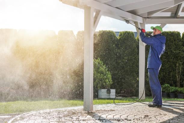 Best House Exterior Washing  in The Meadows, FL