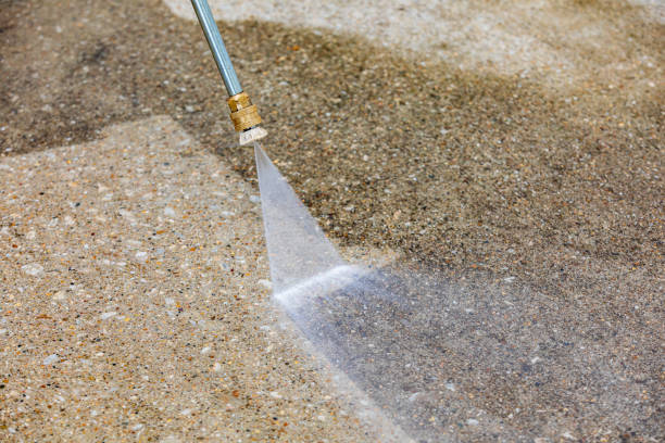 Best Restaurant Pressure Washing  in The Meadows, FL