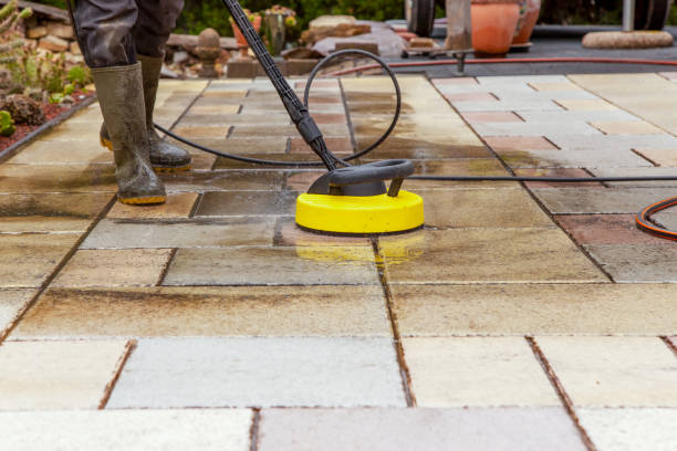 Best Building Exterior Washing  in The Meadows, FL