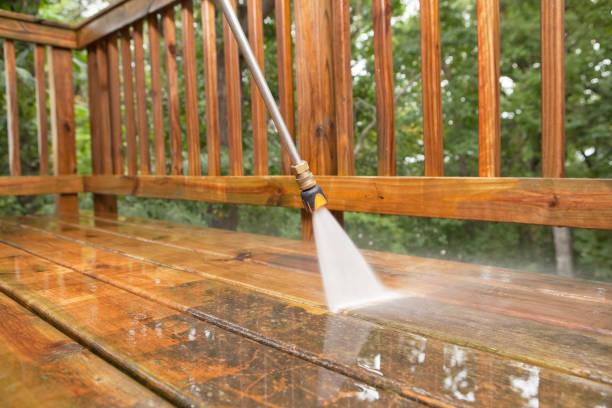 Best Rust Removal  in The Meadows, FL