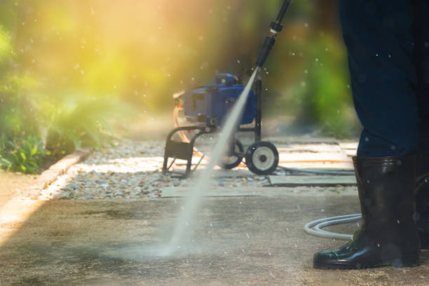 Best Sidewalk and Walkway Cleaning  in The Meadows, FL